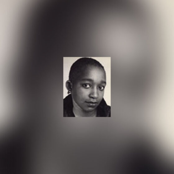 Ami travaille comme bonne dans une maison du quartier des HLM à Dakar. Ses journées de travail durent douze à quinze heures. Les femmes de la maison ne lui laissent aucun répit. Les ordres fusent de tous les côtés. L'une d'elles va jusqu'à l'accuser d'avoir volé un chou. Ami vit dans un bidonville surpeuplé et gagne un salaire de misère. Son dernier espoir reste son mari Omar. Mais Omar vit loin, loin en Casamance. Lorsqu'il revient, ils ne passent que trois jours ensemble.
Ami accouche au village à la saison des pluies. Elle travaille dans les champs et dans la concession de ses beaux parents. Elle ne gagne rien. La vie d'Ami semble sans espoir. C'est une véritable impasse. Entendra‑t‑elle les paroles des diseuses comme Fatim la slameuse et Joséphine la révolutionnaire?
Les bonnes sérères sont à peu près cinquante mille à Dakar. Elles tiennent les maisons. Pourquoi l'émancipation des unes se paie par la servitude des autres?